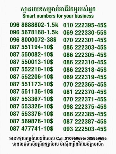 Smart លេខសម្រាប់អាជីវកម្ម