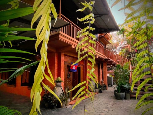 SOfia's WOoden HOme - QUeen, a PRincess, or a Working BEe?