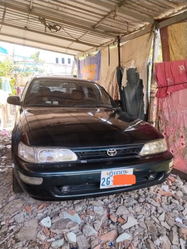 លក់ដូរសេរី ម្ចាស់ផ្ទាល់