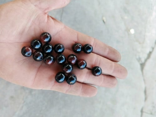 សុខសប្បាយហេងៗនៅមើលឃើញដូចក្នុងរូប