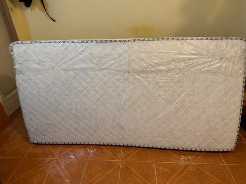 ពួក(ដូចថ្មី)