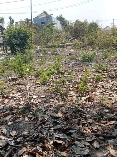 ទីតាំងដីសេដ្ធកិច្ចល្អ