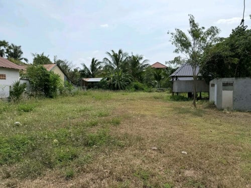 ដីលក់បន្ទាន់នៅក្រុងច្បាមនខេត្ត ពង់ស្ពឺ