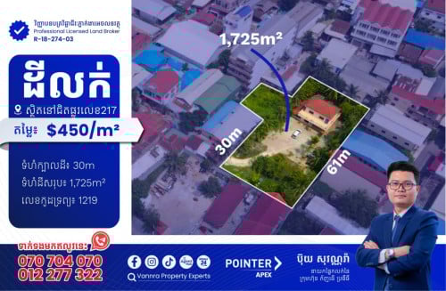 ដីលក់នៅជិតផ្លូវ217