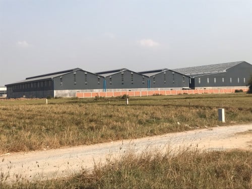 ដីលក់ម្ចាស់ផ្ទាល់(5x20)