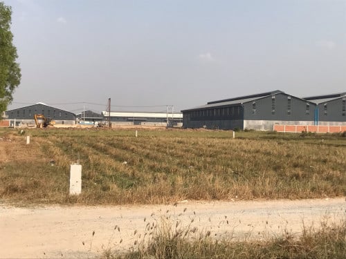 ដីលក់ម្ចាស់ផ្ទាល់(5x20)