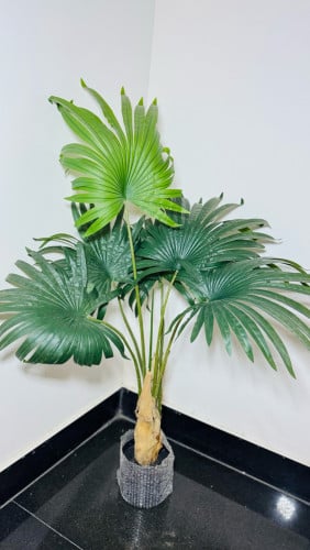 ផ្ការតាំងលំអរ artificial plant ស្អាតដូចធម្មជាតិ