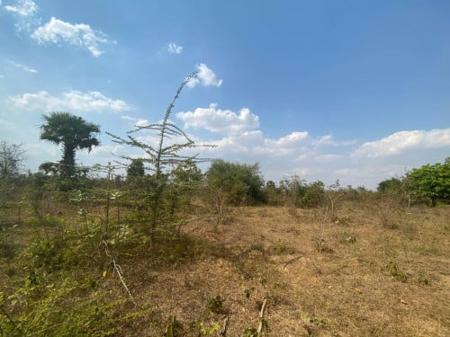 "លក់ដីកំពង់ស្ពឺ 3.8 ហិកតា – សម្រាប់កសិកម្ម ឬឧស្សាហកម្ម តម្លៃល្អ!