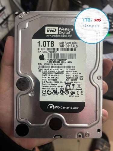 Hard Disk 1TB, 500GB, មួយទឺក(Second Hand)