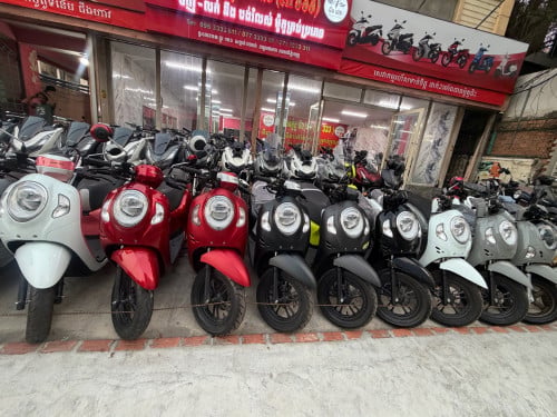 Honda Scoopy ក្រដាសពន្ធ