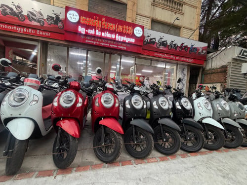 Honda Scoopy ក្រដាសពន្ធ