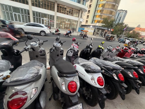 Honda Scoopy ក្រដាសពន្ធ