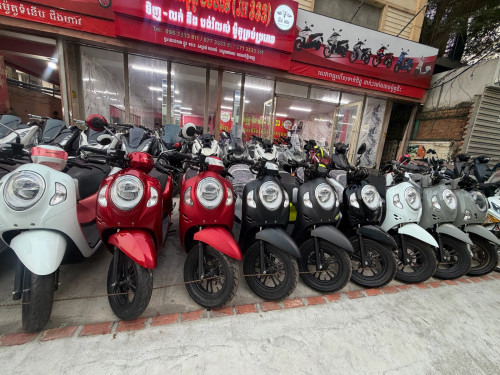 Honda Scoopy ក្រដាសពន្ធ