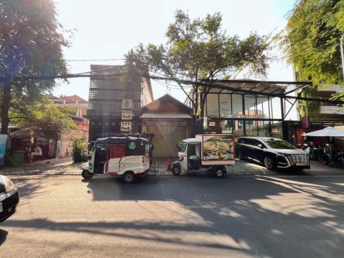 House For Rent- Daun Penh