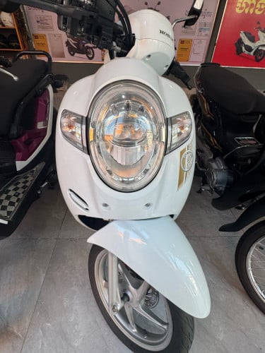 Scoopy 2019