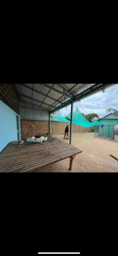 ផ្ទះ និង ដីលក់ប្រញ៉ាប់