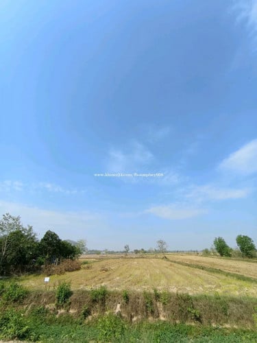 ដីលក់បន្ទាន់​