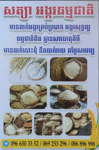 សត្យាអង្ករធម្មជាតិ