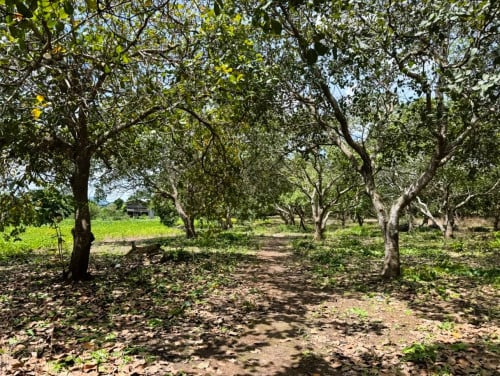 🏦Land Available for Urgent Sale at a Special Price (Negotiable).