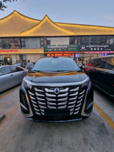 2025 Denza D9 AWD DM-i 4 motor