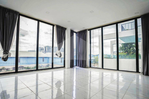 Modern Villa for Rent-Sale near Street 2004