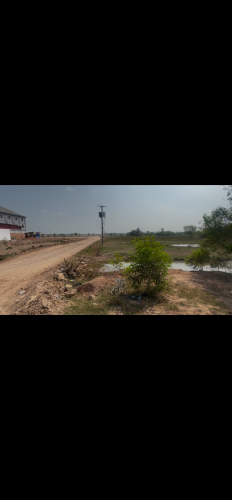 ដីលក់ក្នុងក្រុងបាវិត