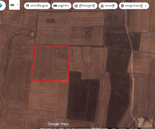 ដីស្រែលក់នៅតានយ