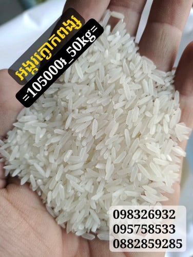 អង្ករក្ងោកពង្ស