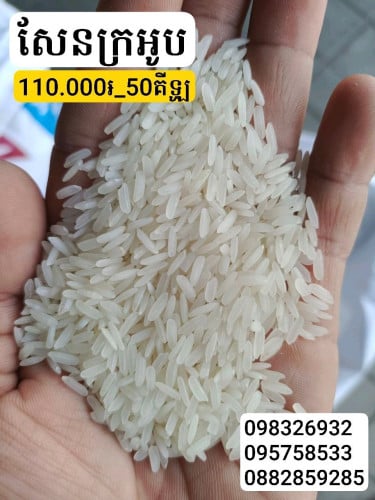 អង្ករសែនក្រអូប