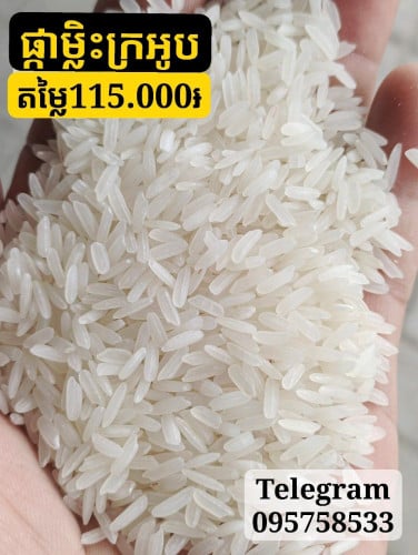 អង្ករផ្កាម្លិះ