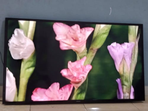 នៅប្រើបានបងប្អូន