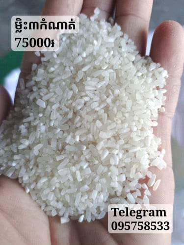 អង្ករផ្កាម្លិះ3កំណាត់