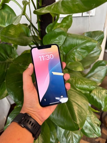 12LL/A មួយដេីមនេះស្អាតដាច់