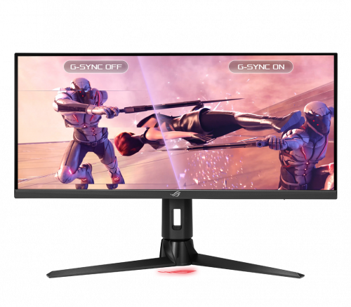 Gaming Monitor ASUS ROG Strix 29.5-inch (XG309CM) 2K 220Hz