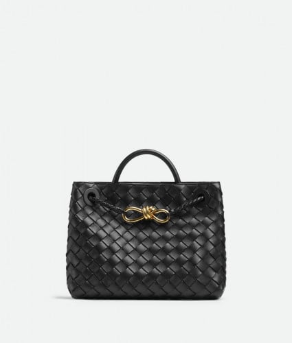 Bottega Veneta Andiamo Small Original