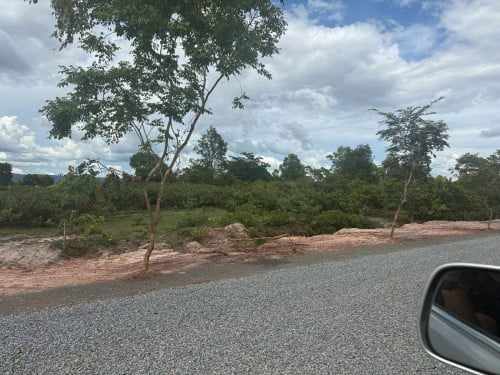 ប្លង់រឹង