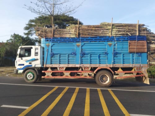 ទ្រុង លក់