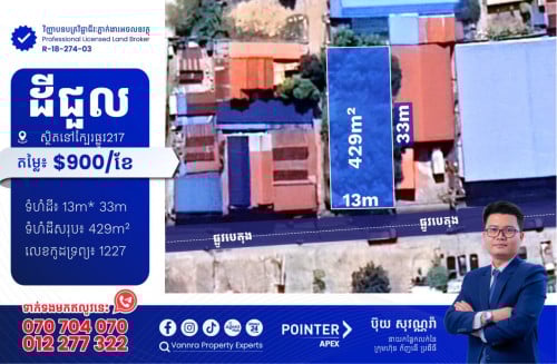 ដីជួលនៅជិតផ្លូវ217
