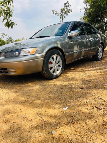 ឆ្លាមឆ្នាំ99 ឡានថ្មី