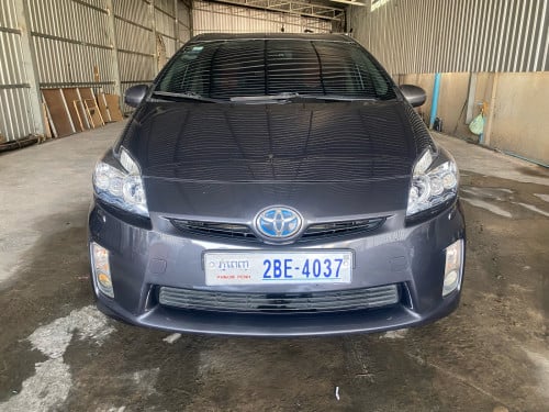 ម្ចាស់ដើម option 5