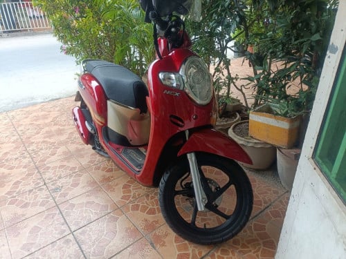 Honda scoopy 2019