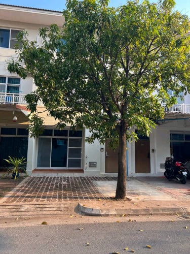 House Rent at Camko city