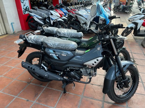 YAMAHA PG -1 សេរី2026