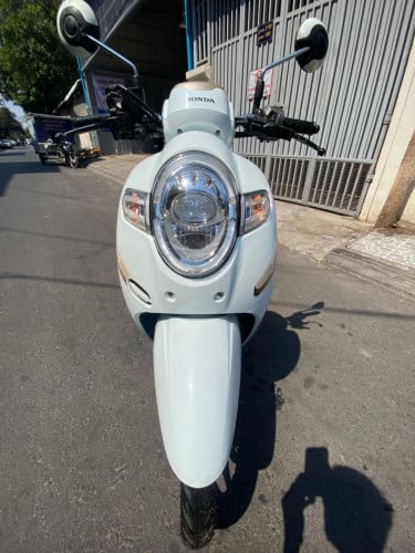 មានពន្ធកាតក្រីសត្រឹមត្រូវ