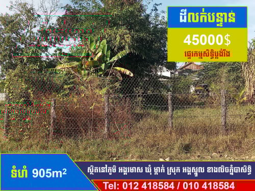 ដីឡូតិ៍ក្នុងភូមិលក់បន្ទាន់