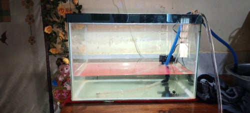លក់ទូរត្រីមួយទឹក 20$ ទំហំ 60x40x40