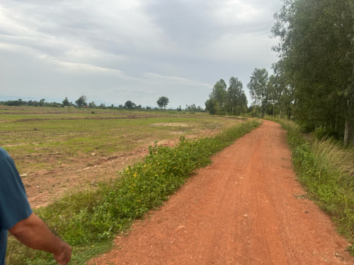 ដី រ៉ែ ដែក 36$/m