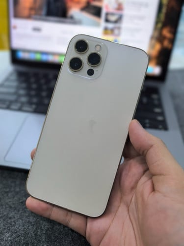 12 Pro Max 256GB ដូរខ្នង