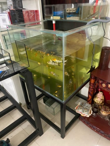 ទូរត្រីសំរាប់លក់