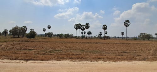 ដីកែងលក់ ជាប់ផ្លូវប្រឡាយ40m ជាតំបន់អភិវឌ្ឍន៍!